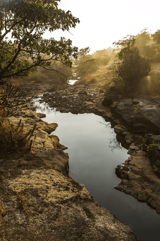 Dharana at Shillim 5*